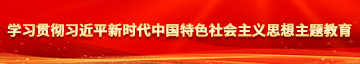 骚逼被操学习贯彻习近平新时代中国特色社会主义思想主题教育