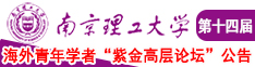 夜袭屌逼视频网站南京理工大学第十四届海外青年学者紫金论坛诚邀海内外英才！